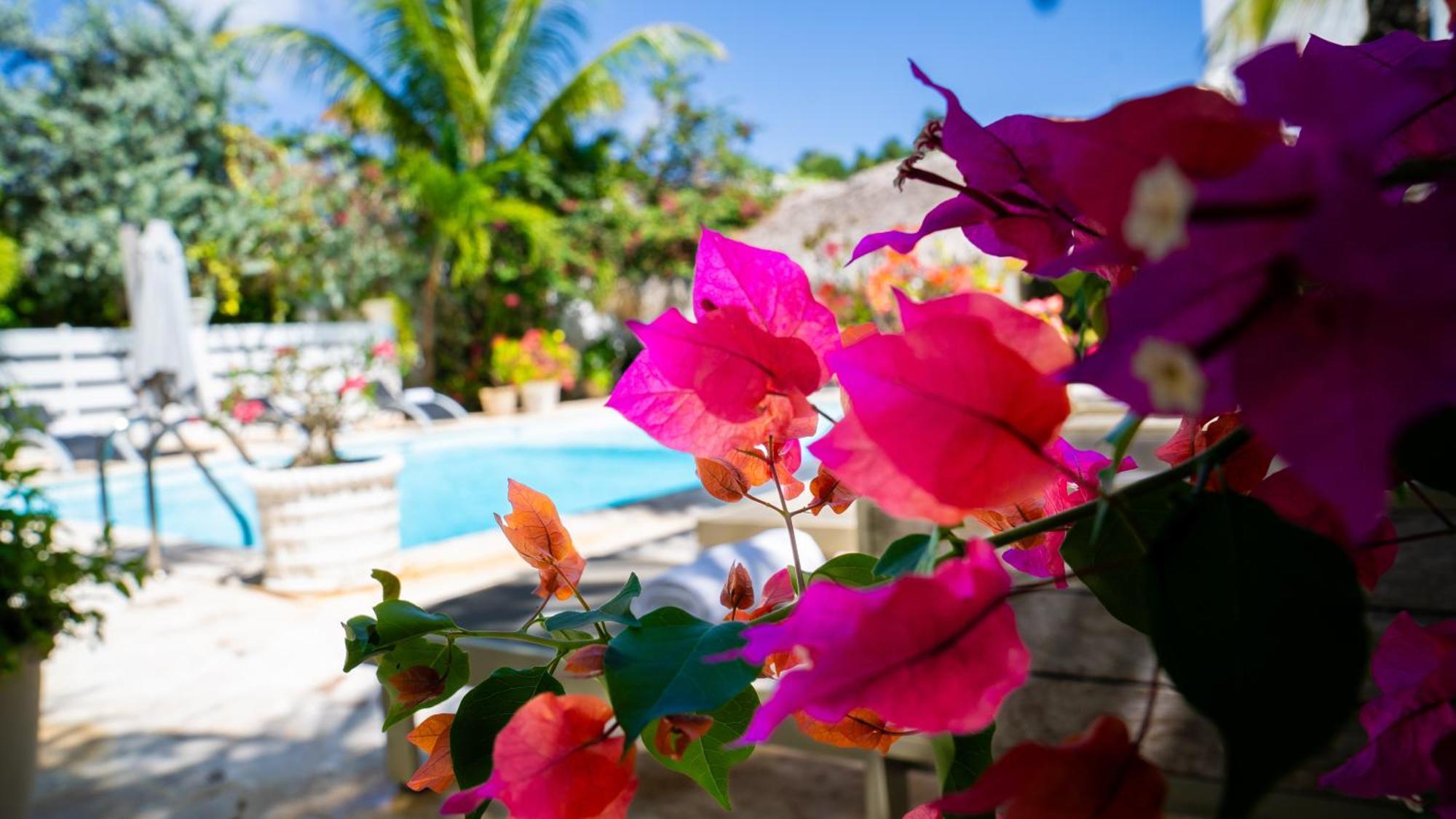 Boutique Hotel Las Flores Punta Cana Exterior foto